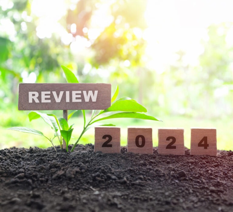 Plant sprouts surrounded by soil, with a wooden sign reading "REVIEW" and blocks displaying the year "2024," symbolizing growth and future planning.